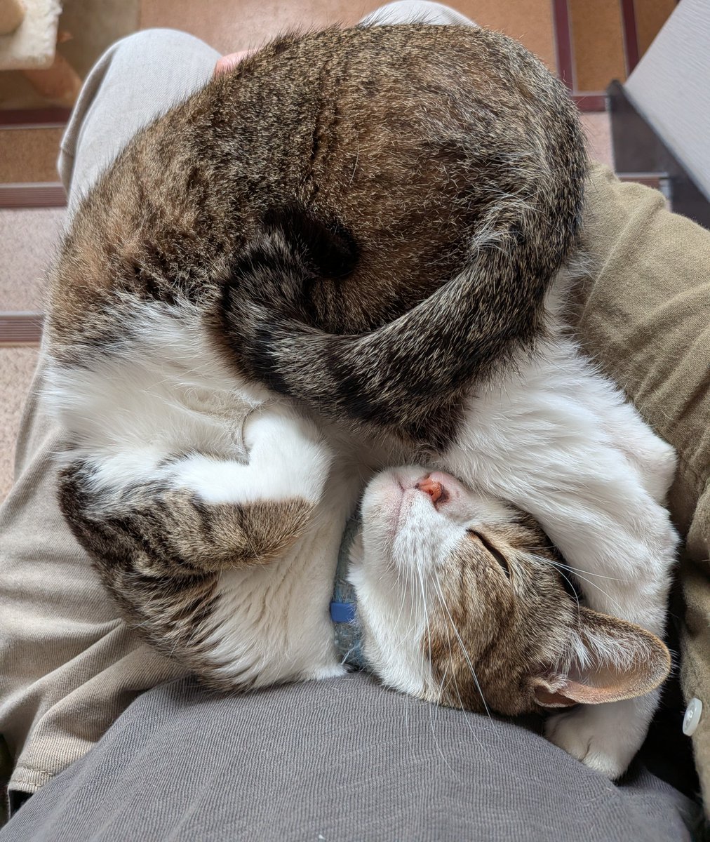 EPY tweet media