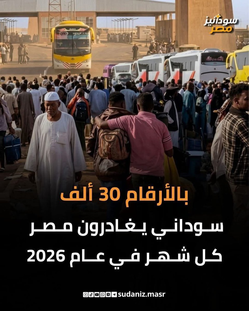 قبطي tweet media