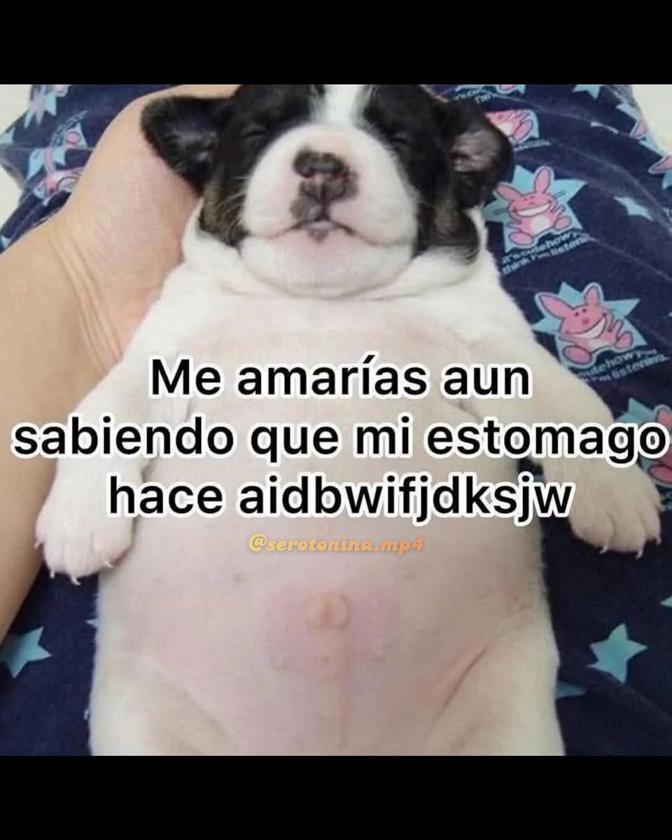 Mundo de Bigotes (@mundodebigotes) on Twitter photo 