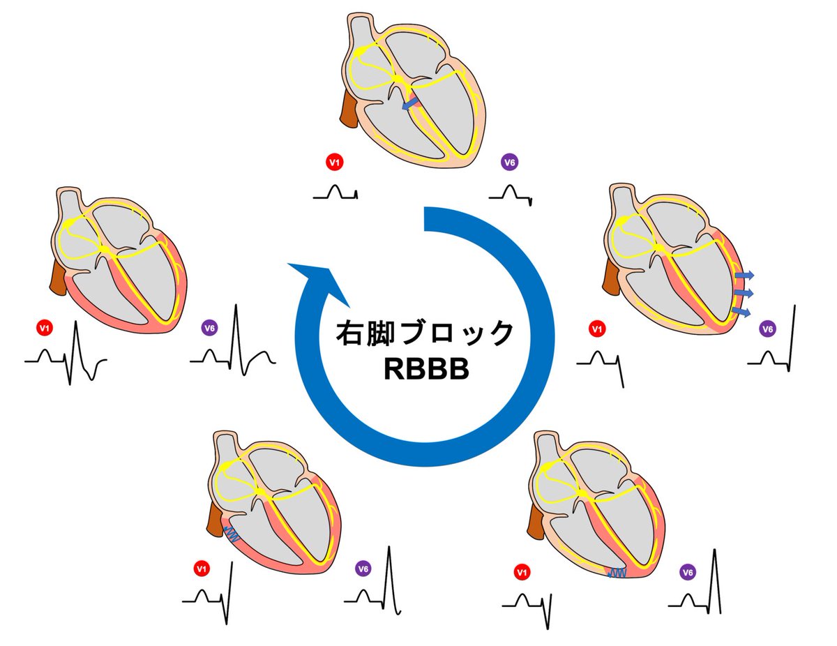 心電図.com tweet media