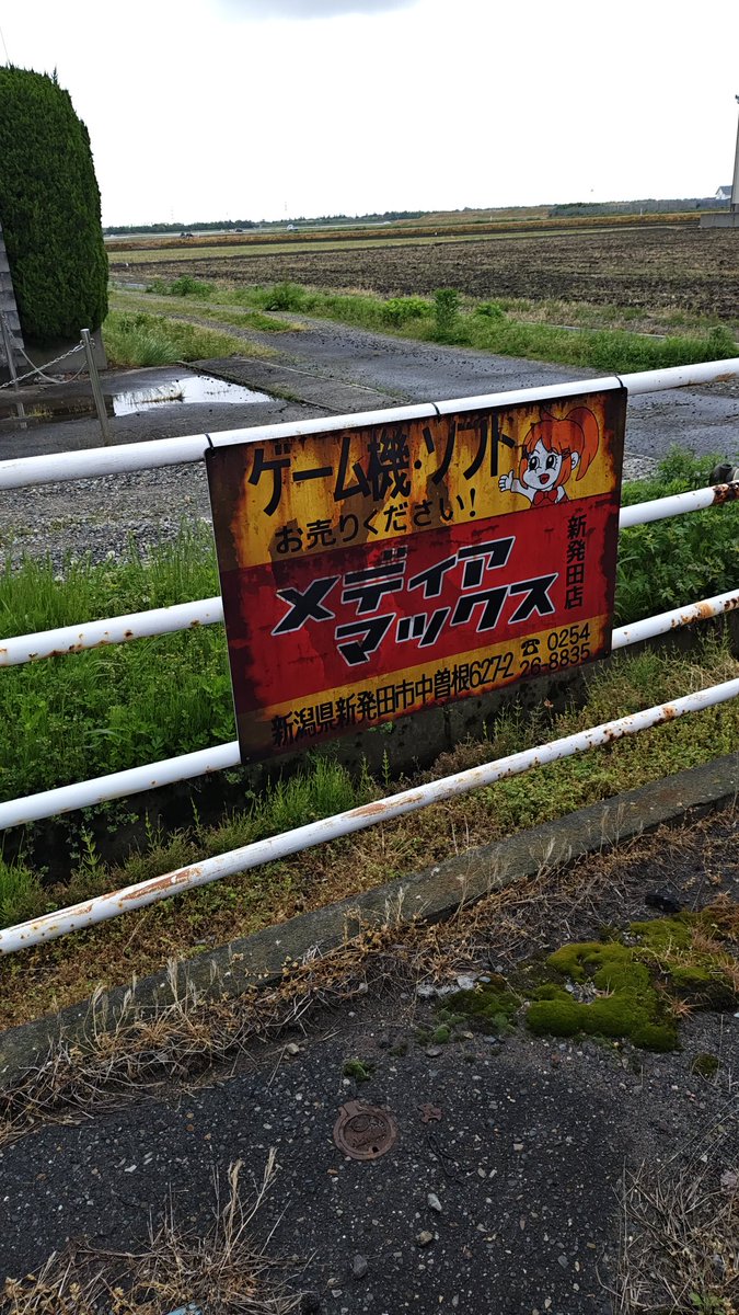 しい tweet media