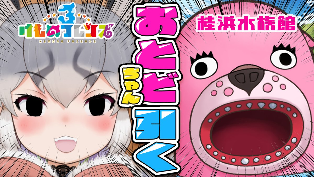 シマハイイロギツネ🏝🦊 tweet media