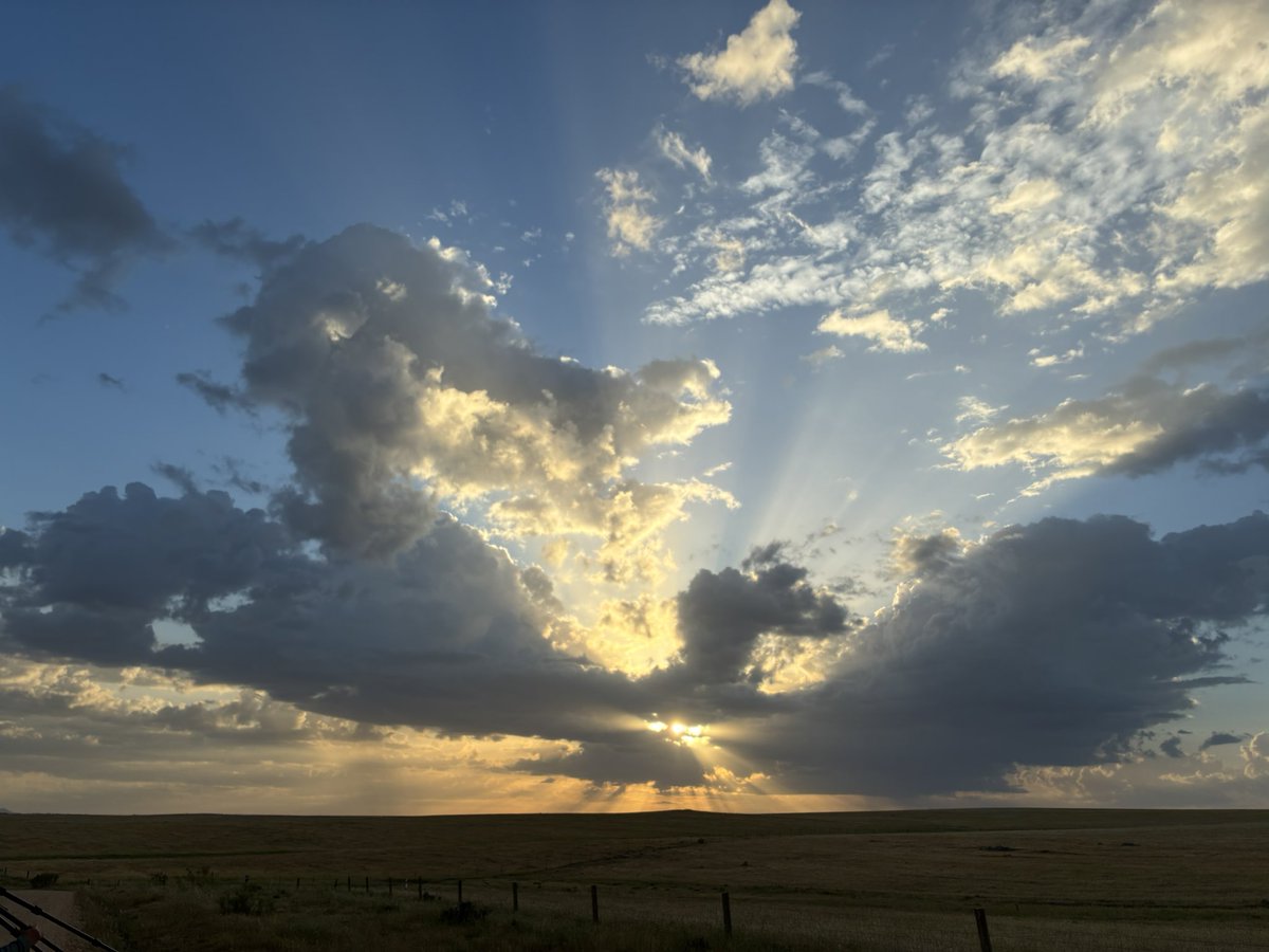 AlanDaviesbirds's tweet image. Back in #Wales after a fantastic week in Extremadura #Spain with @IoloWilliams2 huge thanks to our wonderful guests for making it so much fun! Superb birds, beautiful hotel, delicious food, stunning scenery! Join us in April 2027.