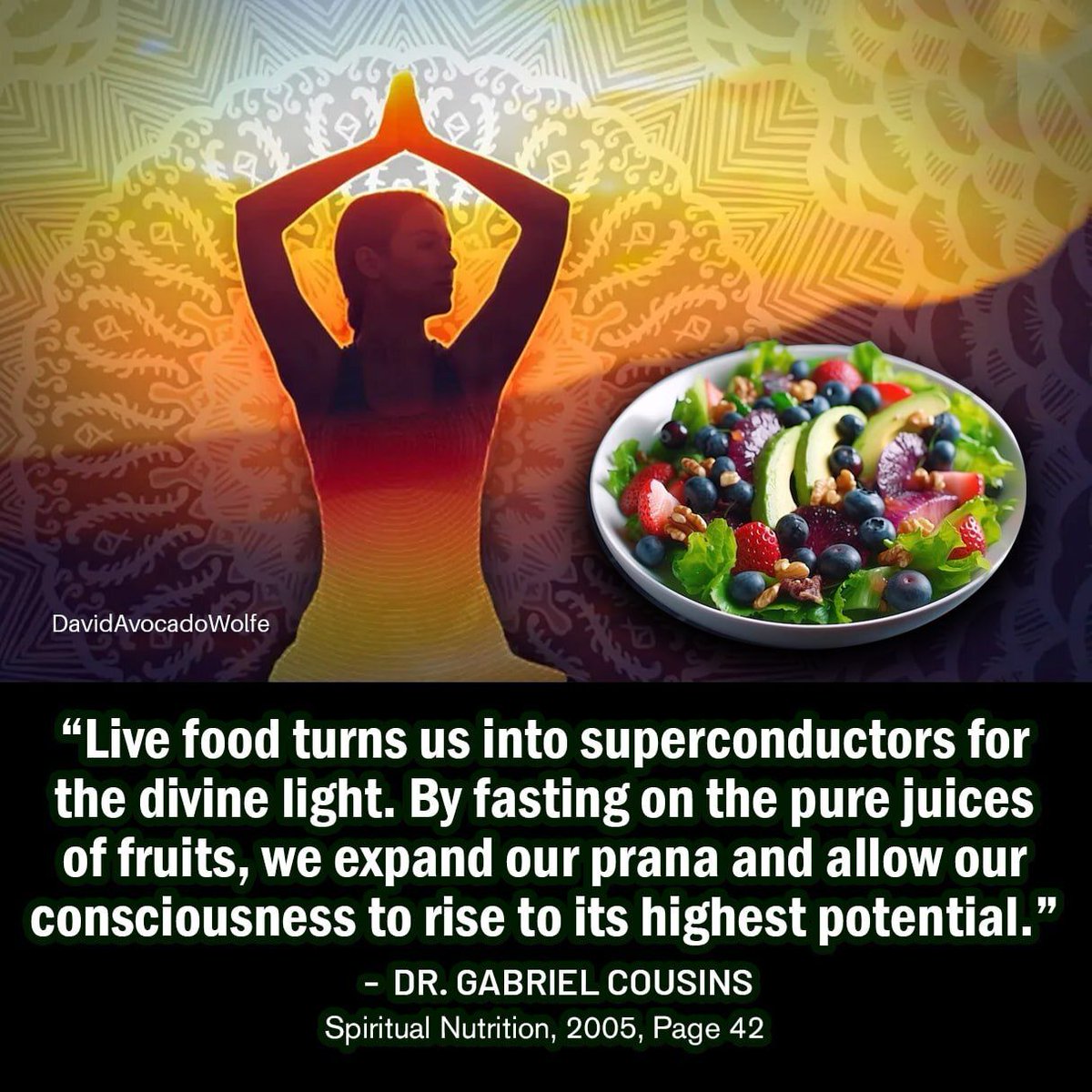 David Wolfe tweet media