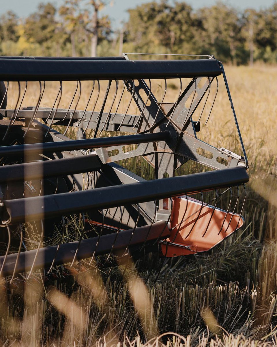 riaddaloussi's tweet image. In farming, efficiency is earned through the tools you trust to deliver results season after season.
.
.
.
.
.
.
#riaddaloussi #farming #business #canadá
#farmequipment