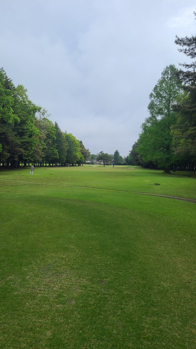 にじゅういち⛳ tweet media