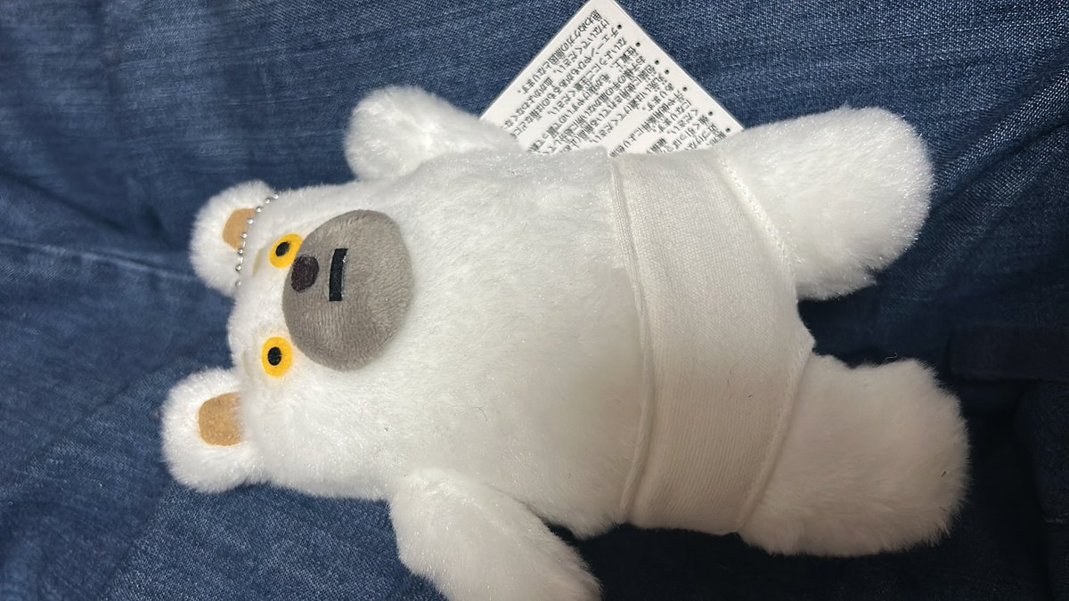パンツ履いてるのに探すくまのぬいぐるみ