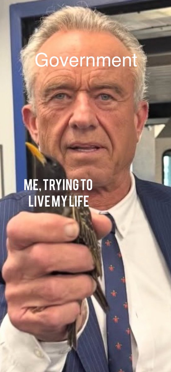 JohnnyBonham tweet media