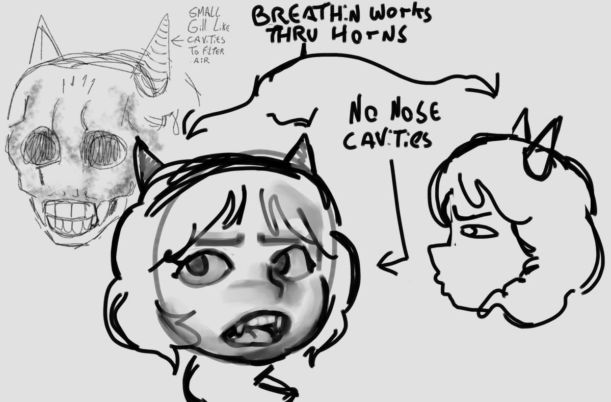 anatomy