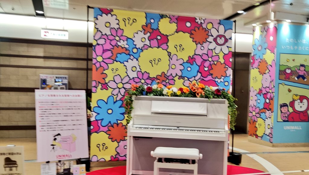 やぁーくん🎹いんふるえんさぁー✨ tweet media