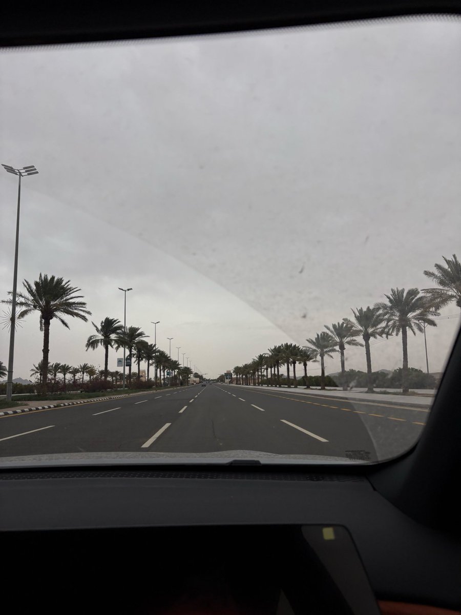 إنسان شخصية tweet media