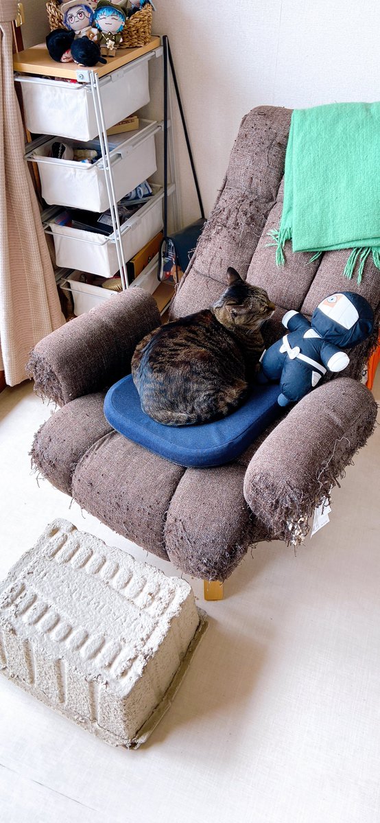 🐈高尾滋🪄 tweet media