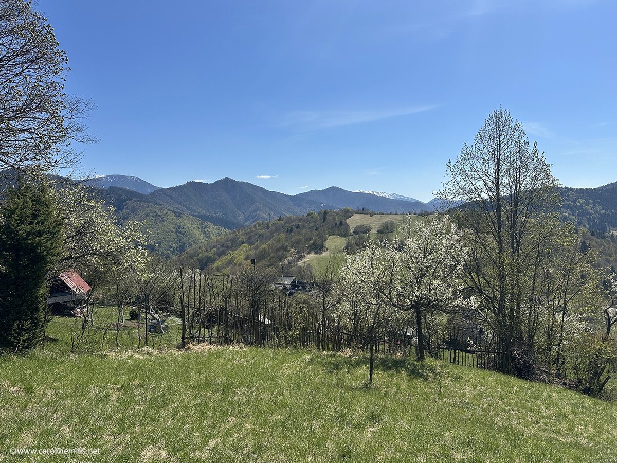 CarolineMills99's tweet image. 'Tucked' into a hidden valley (well, half-way up a hillside), is Vlkolínec, a village in the Liptov region of Slovakia, filled with traditional folk houses, and an incredible place for hikes in the hills above and the valley below. Traditional hay meadows, too. #camping #roadtrip
