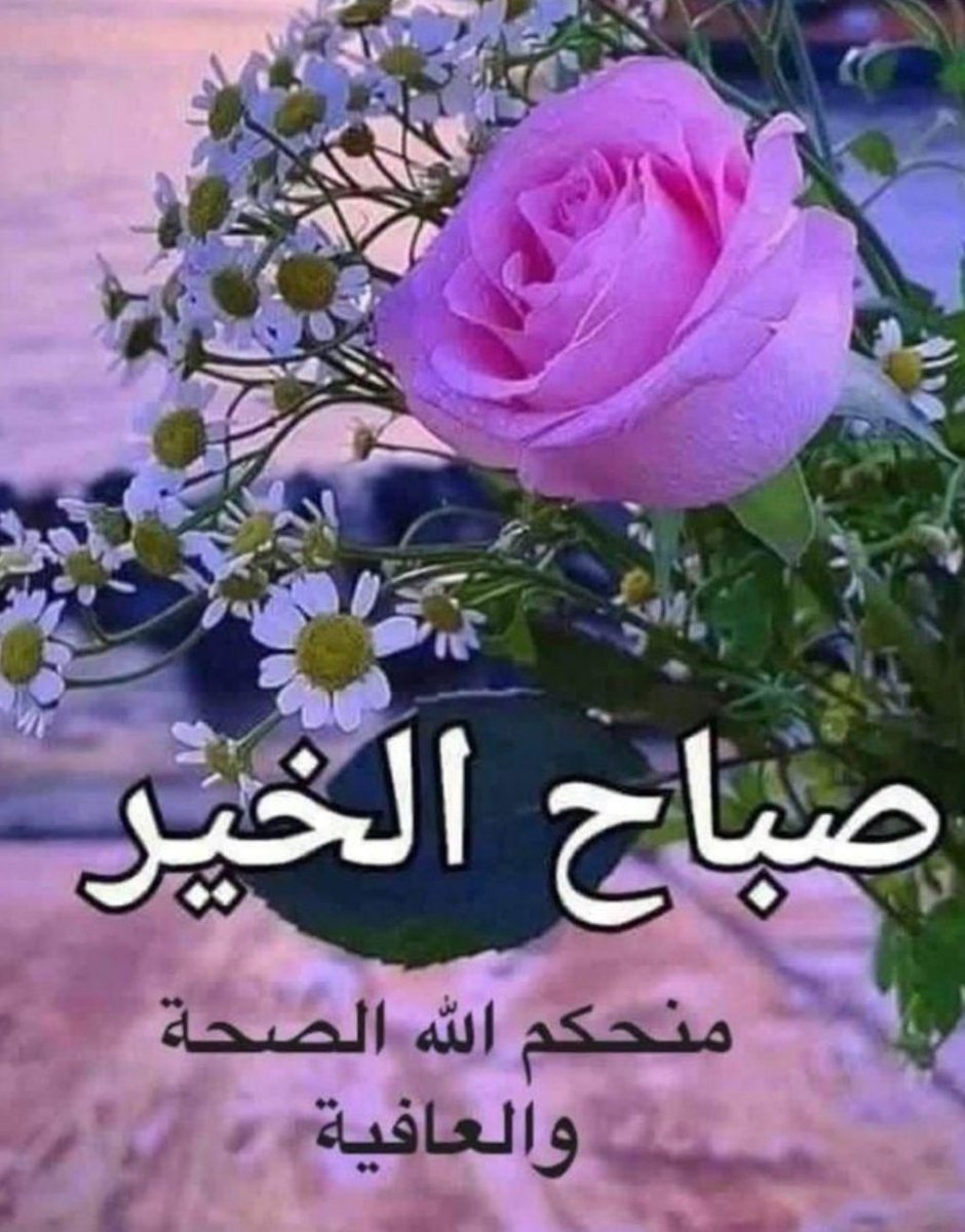 أبو ابرار tweet media