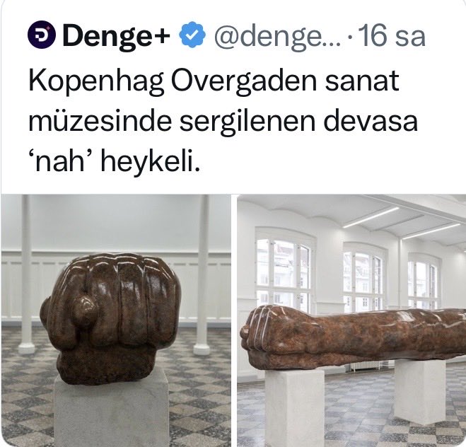 Berfu tweet media