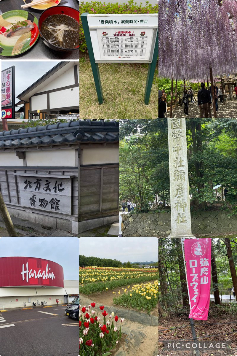 ロップス tweet media