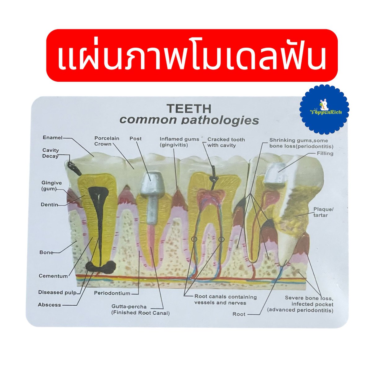 พรีกับ toppenrich tweet media