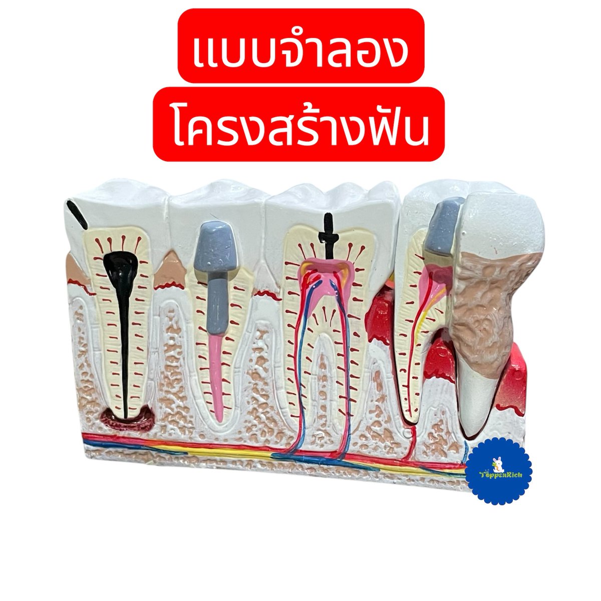 พรีกับ toppenrich tweet media