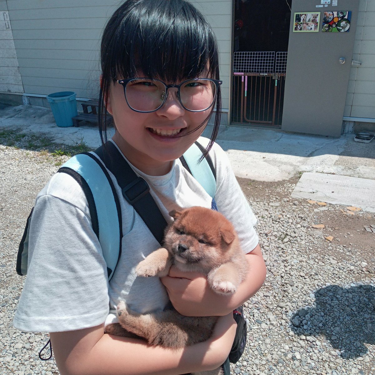 Shigecchisano's tweet photo. お誕生日に家族を迎える許可をいただきました〜☀🐾
幸せな生活のために勉強しなくては！！まだまだ頑張ろ〜💃 https://t.co/icw9aHxneh