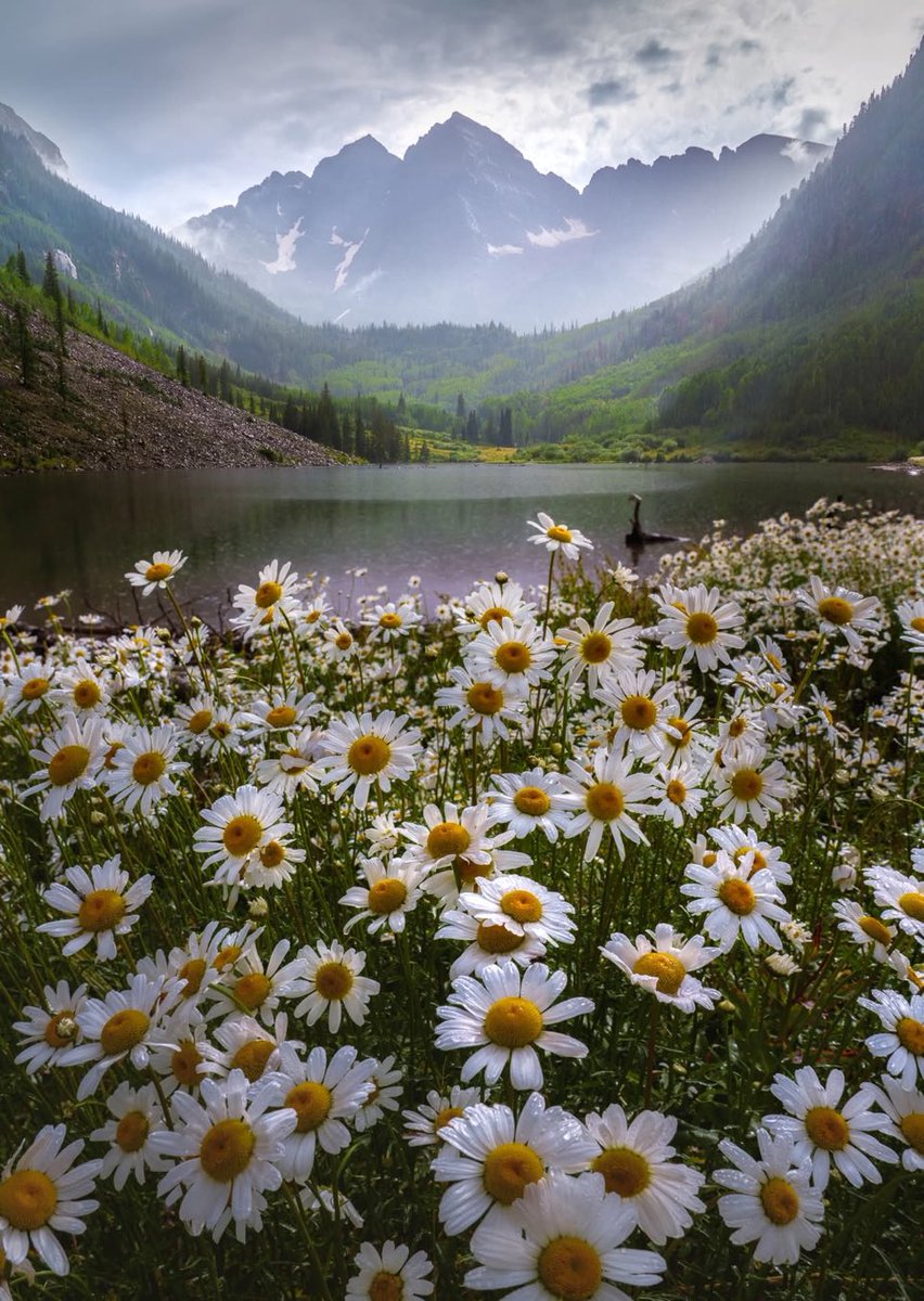 Wallpapers50 tweet media
