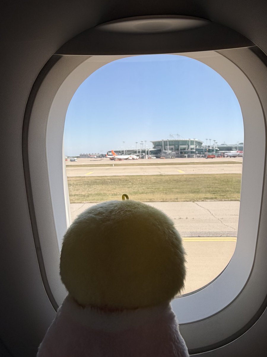 mino🐥 tweet media