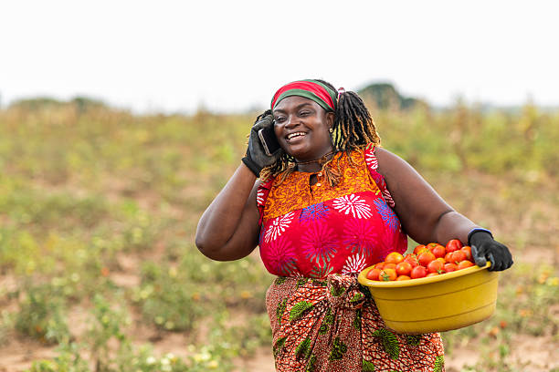 TriplecAdvisory's tweet photo. 3,200+ women-led businesses funded. 💼Livelihoods trnsformed in Tanzania🇹🇿. One historic gender bond in Tanzania. TCA is proud to have built the impact system for this milestone. Now, we’re ready to help you scale.  

Partner with TCA today. 📩info@triplec.ltd

#FinancialNews https://t.co/KtRtDEYJAb