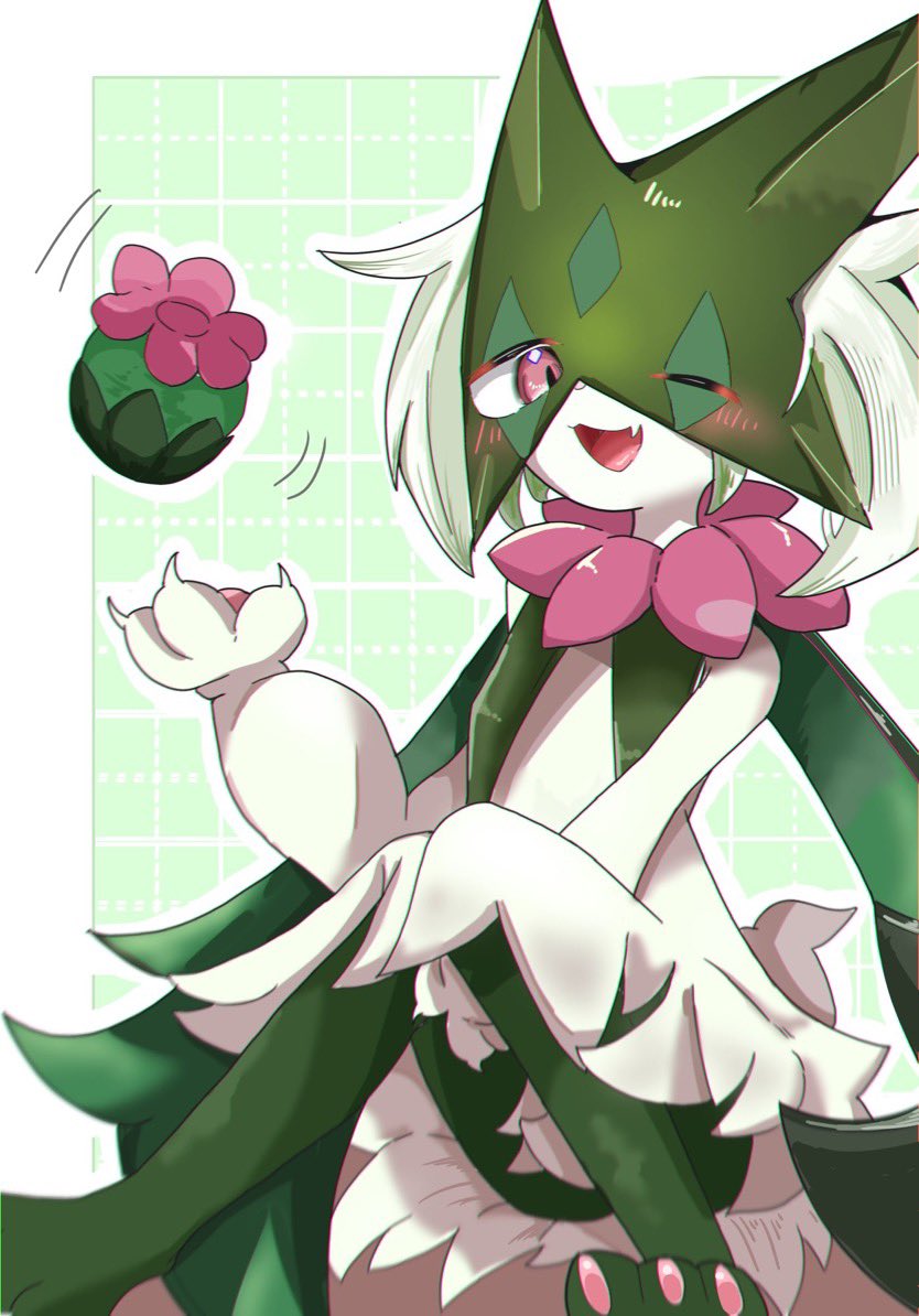 コマツキチャリ tweet media