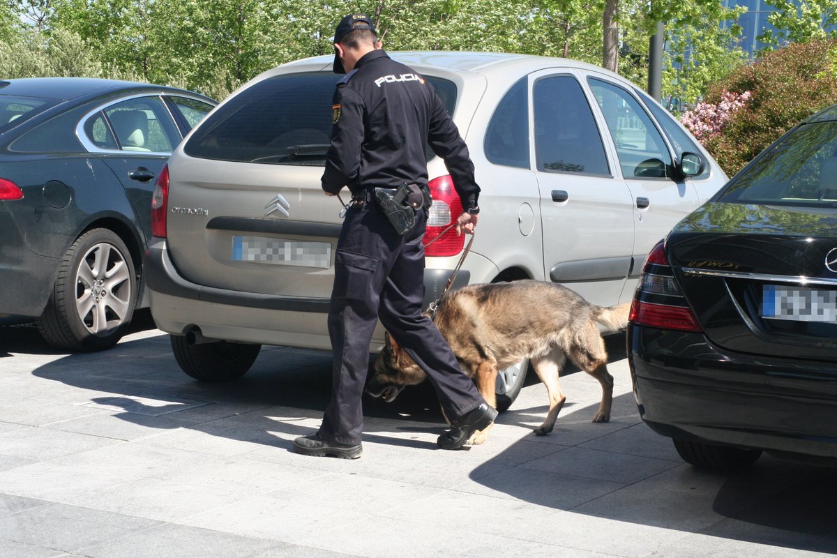 Policía Nacional tweet media