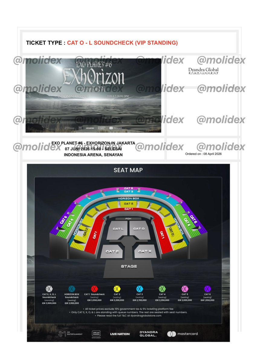 Molie 💭 tweet media
