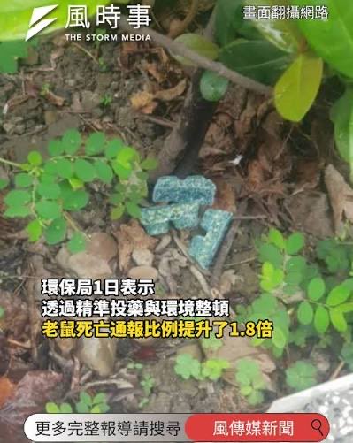 ( ͡° ͜ʖ ͡°) 卡珊德拉該練核心了 tweet media