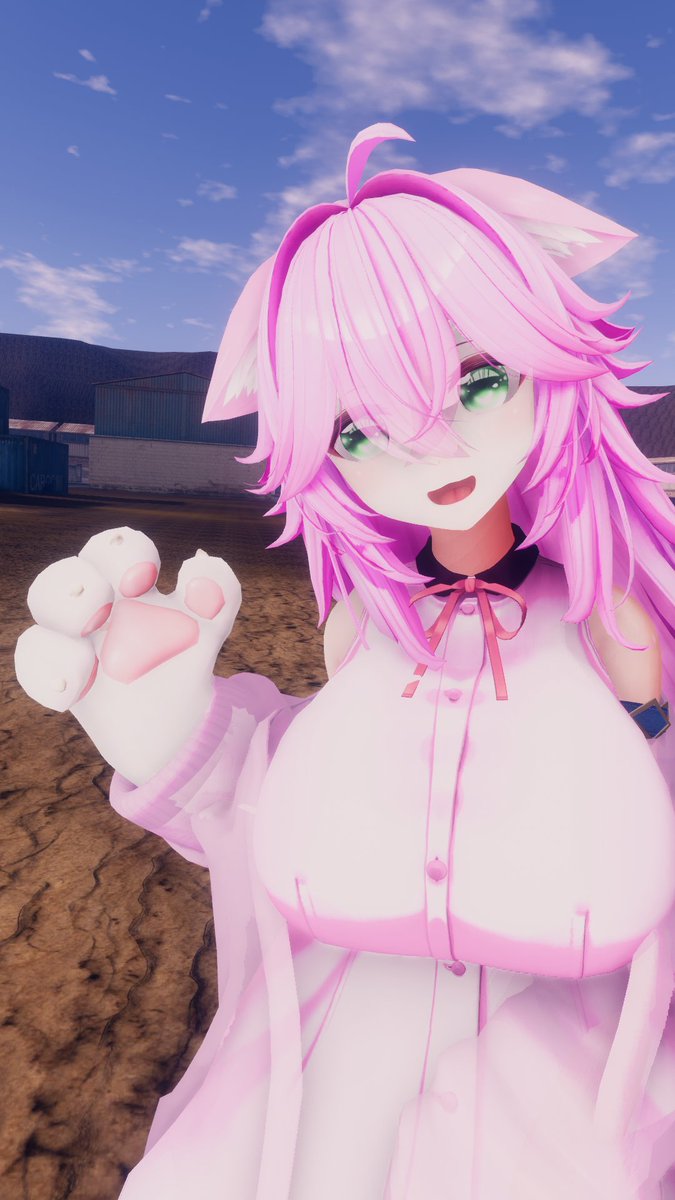 猫元にゃ〜お tweet media