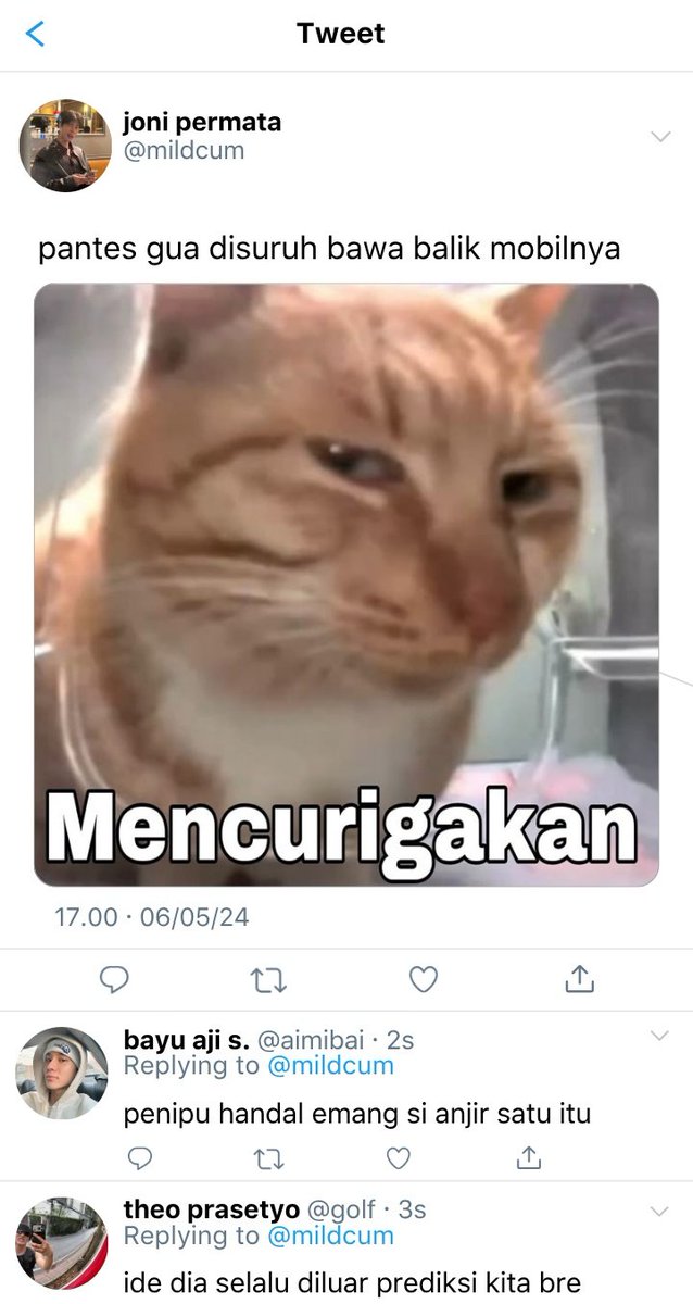 🪷 tweet media