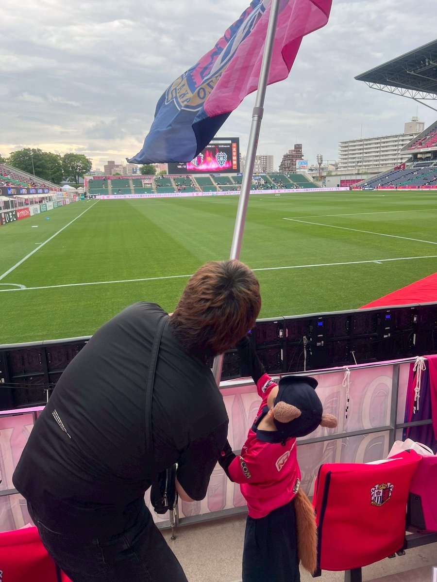 emygo(ミ°p°ミ） tweet media