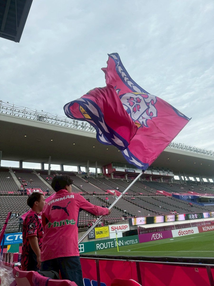 emygo(ミ°p°ミ） tweet media