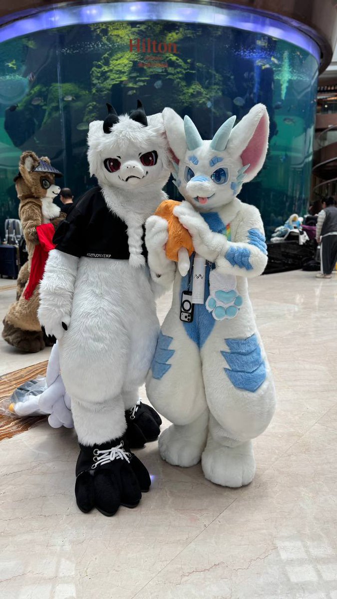 御雪/みゆき/Miyuki → ✈️5/1 廣州HiFurry tweet media