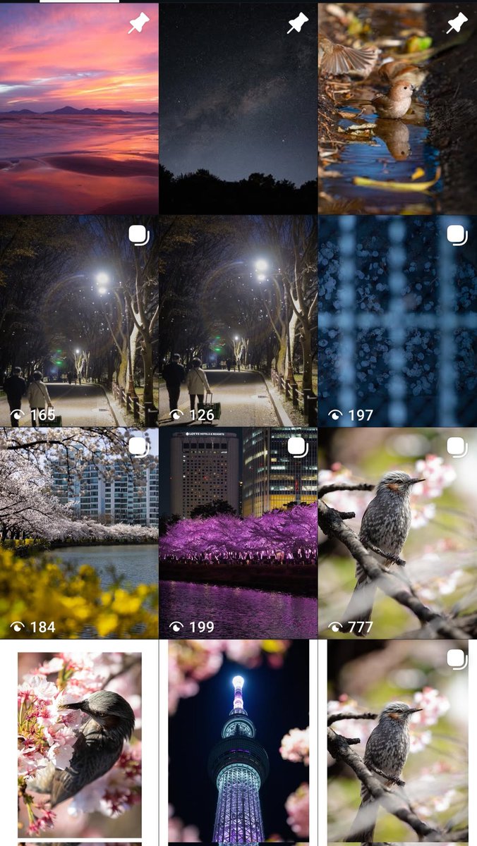 108_바이올렛🍷🩸 tweet media