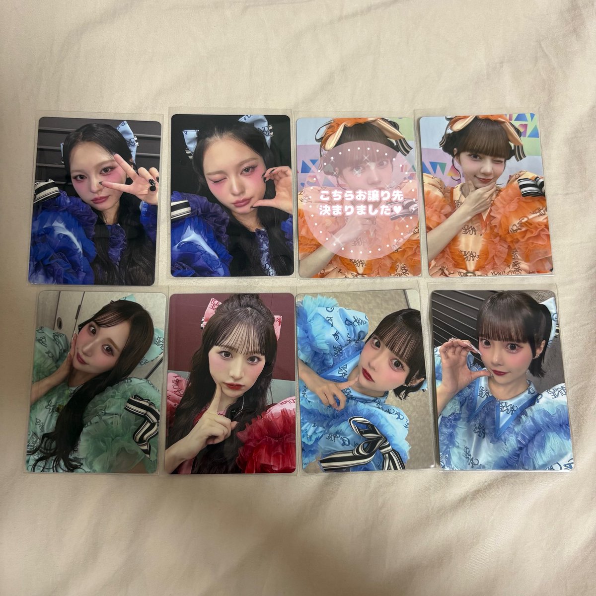🐶 プロカ必読 tweet media