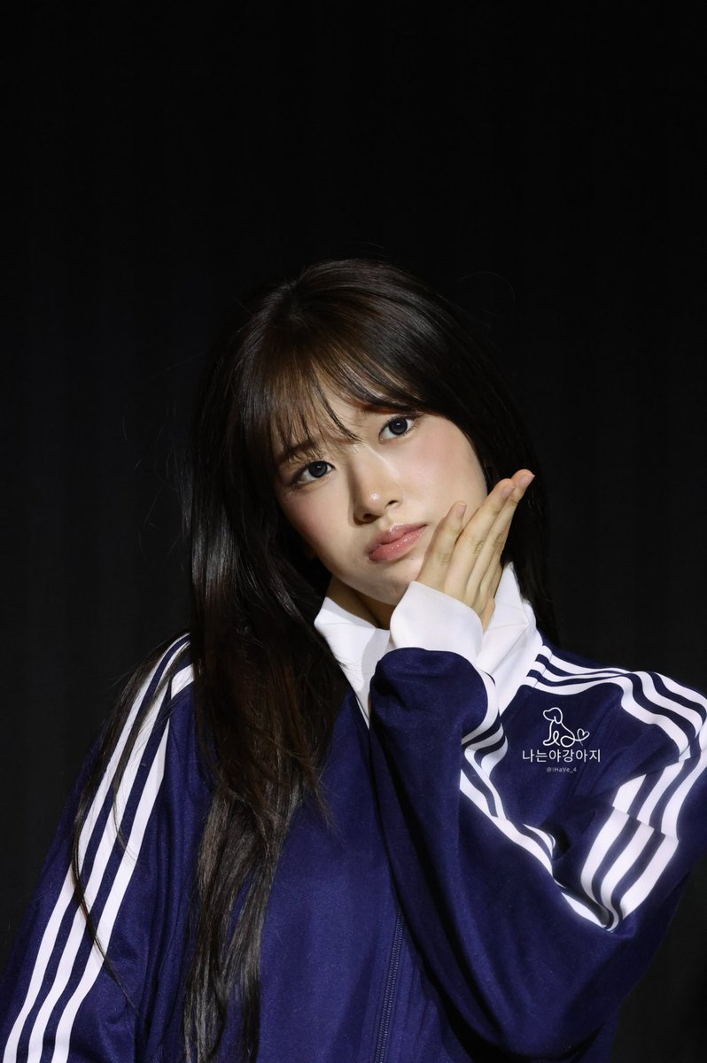나는야강아지 tweet media