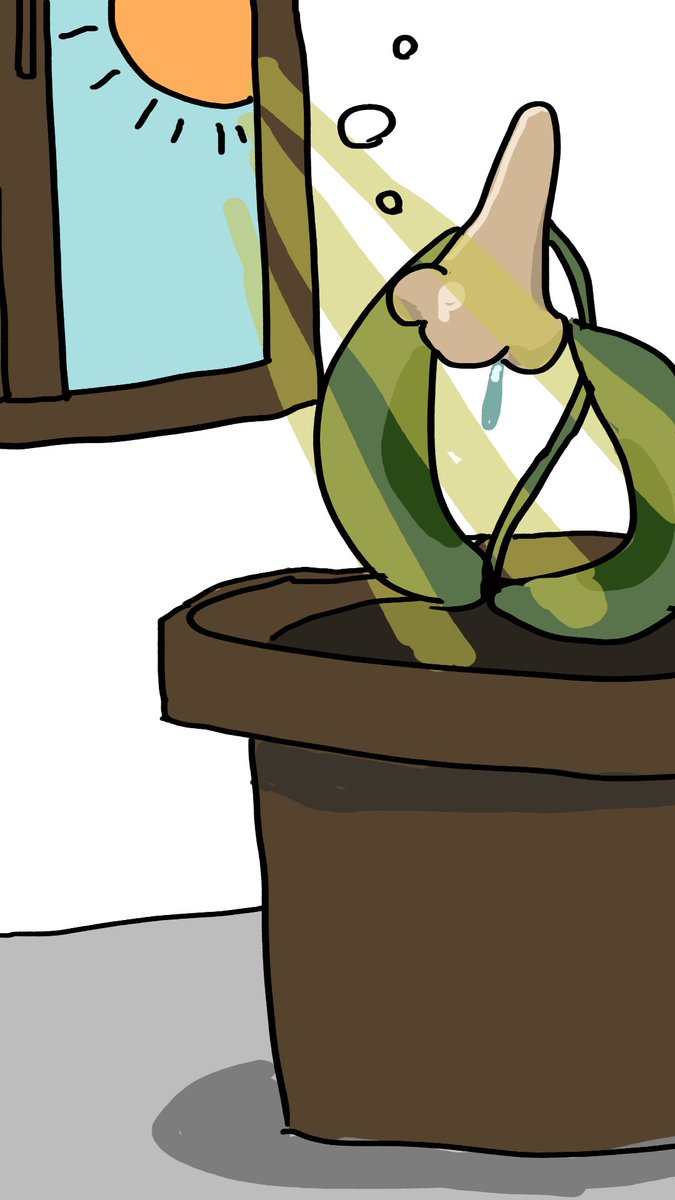 鼻花〜はなはな〜👃🌷vtuber tweet media