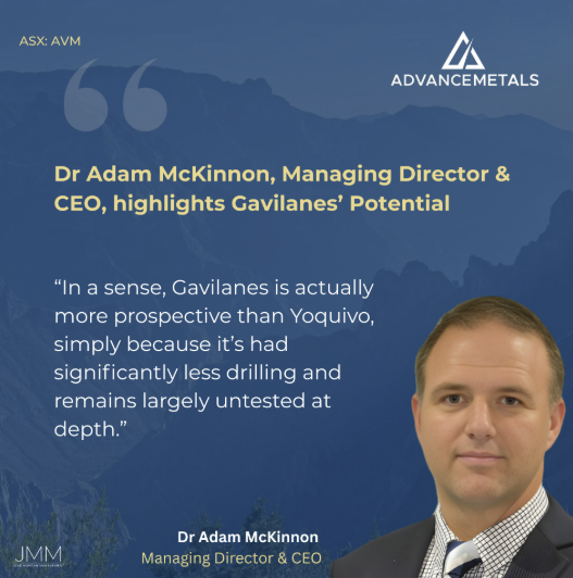 Advance Metals Ltd tweet media
