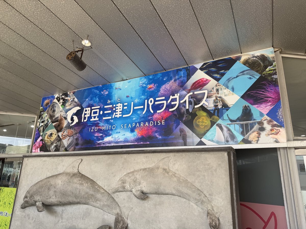 𝑯𝒊𝑺𝑨📷🍶🍜🎶⛳️🏕️🎣 tweet media