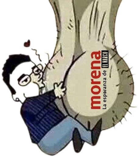 Libertad Mx ⚖️🗽📚🎶🌹 tweet media