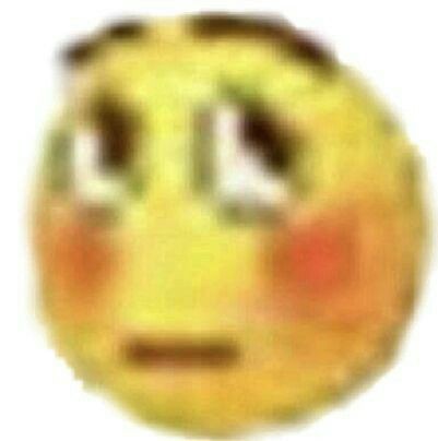 triz ݁₊🥢 tweet media