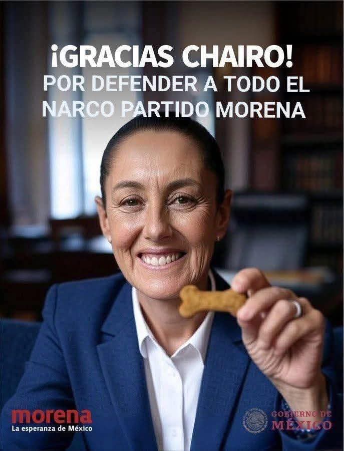 Libertad Mx ⚖️🗽📚🎶🌹 tweet media