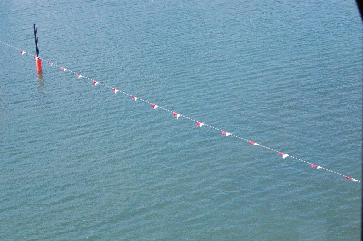 daily_boatrace's tweet image. 【＃ボートレースとこなめ】
　＃チャンピオン大会

　本日のボートレースとこなめは強風の影響で１Ｒから安定板着用、展示１周、本番２周戦になっています。

　＃ＢＯＡＴＲＡＣＥ　＃ボートレース