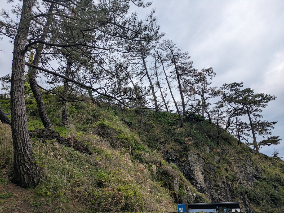 雪山 tweet media