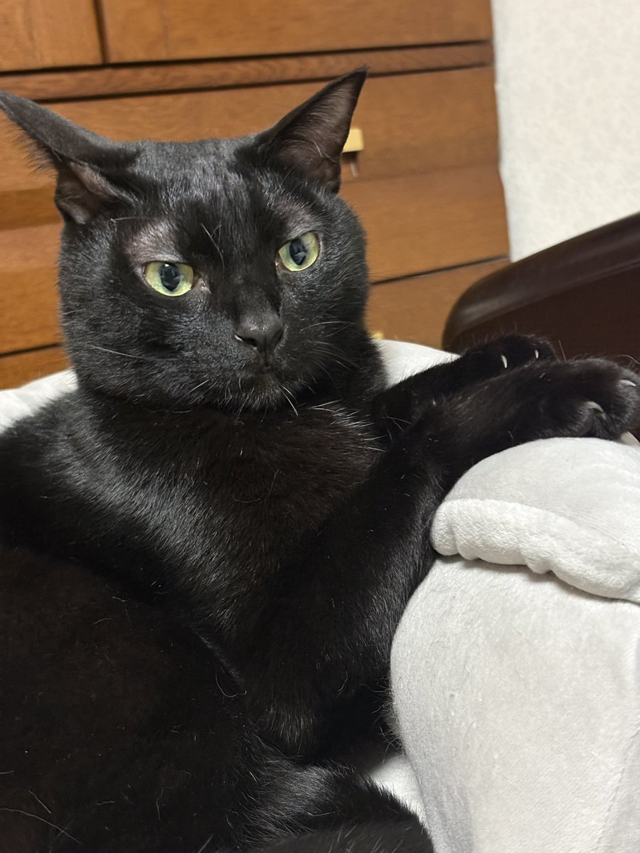あやﾅﾆ tweet media