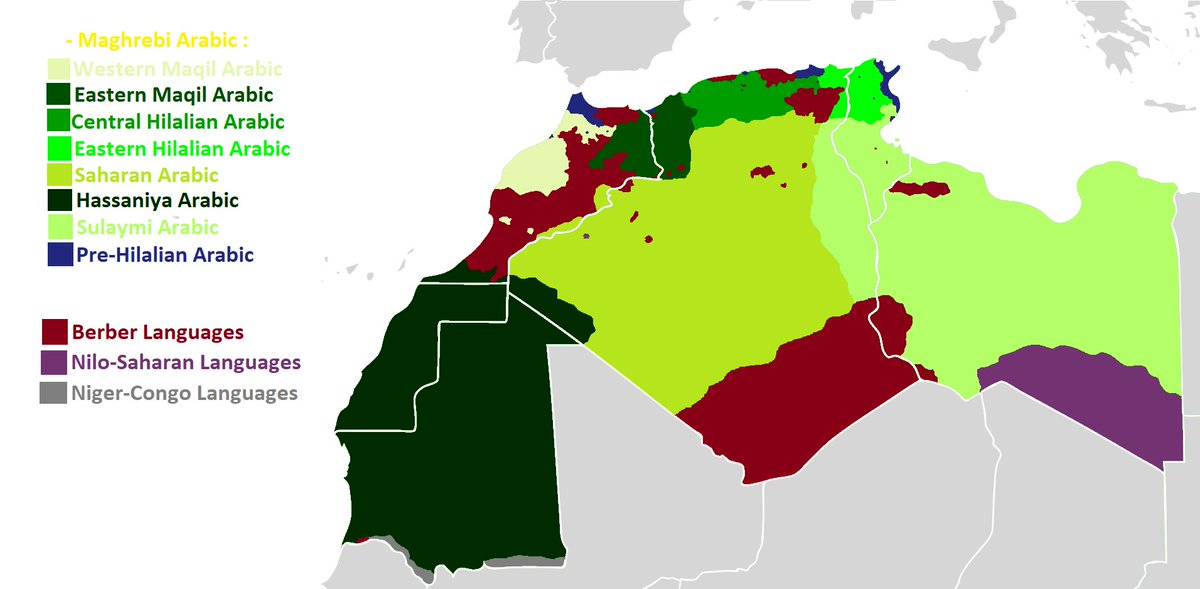 🇩🇿الخليل الهلالي tweet media