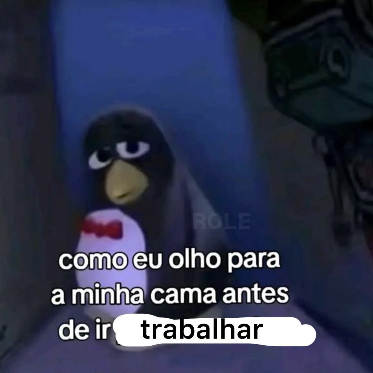 Rolê Aleatório tweet media
