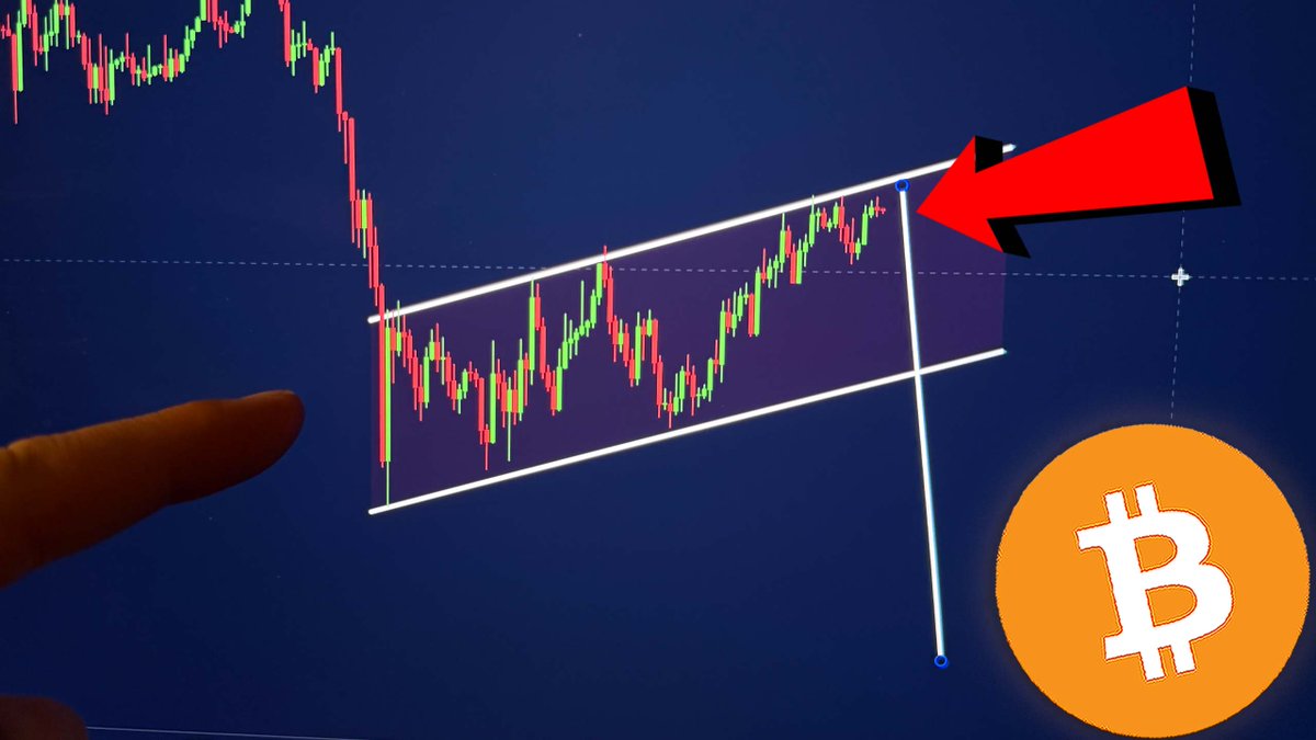 Crypto Rover tweet media